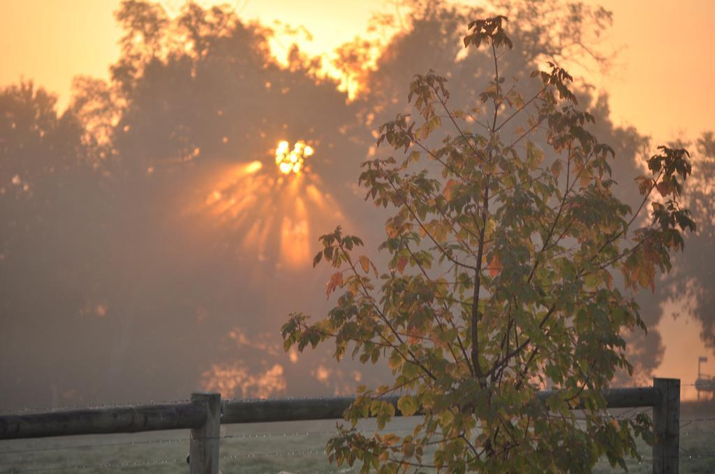 Tallawarra Homestead Tonimbuc Zewnętrze zdjęcie